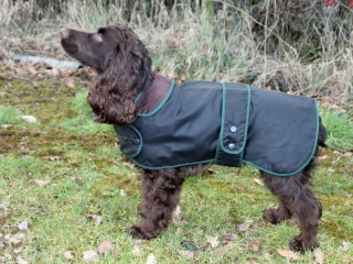 Traditional Hunter Green Waxed  Dog Coat